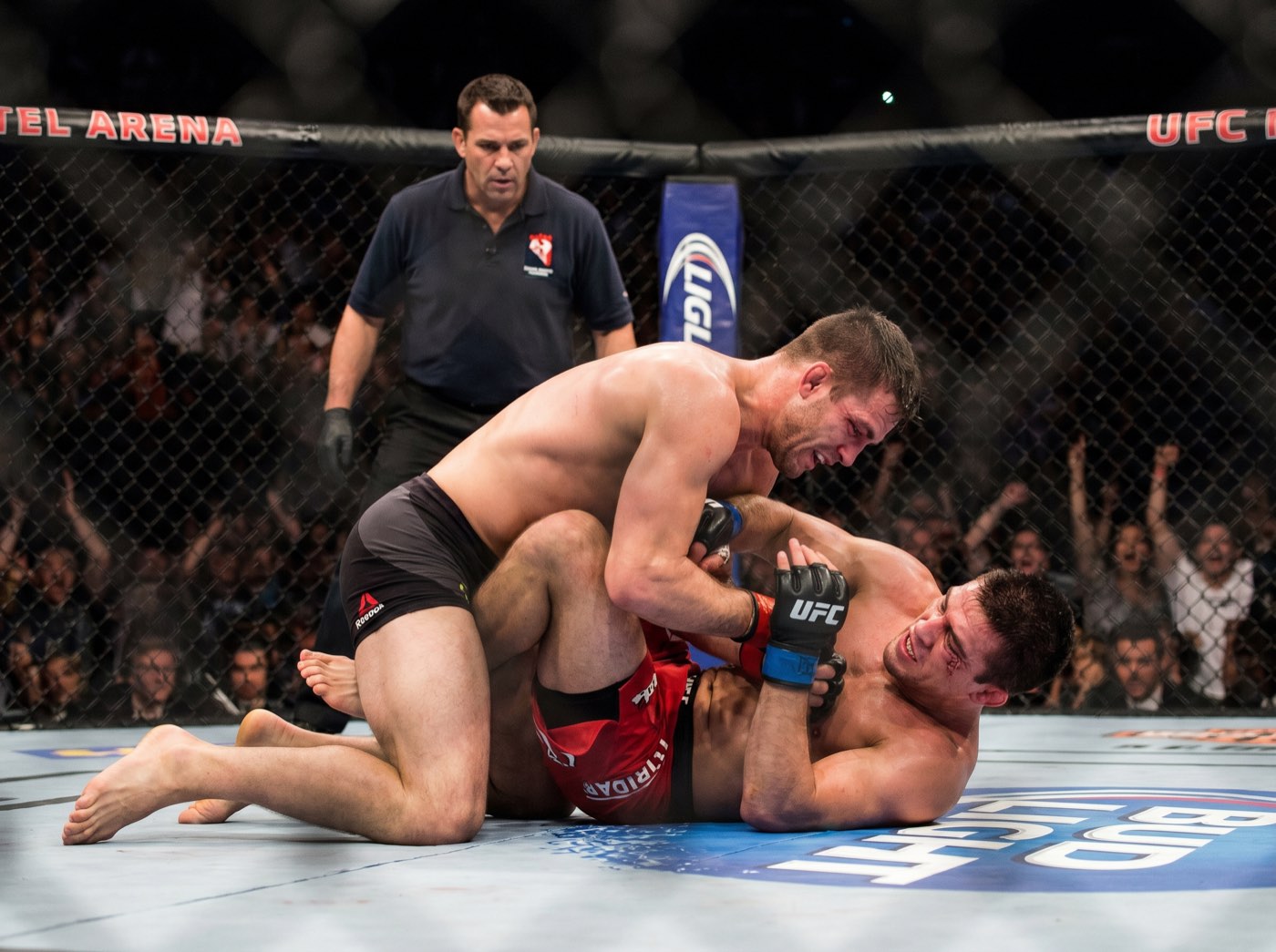 Hat BJJ im MMA an Bedeutung verloren?