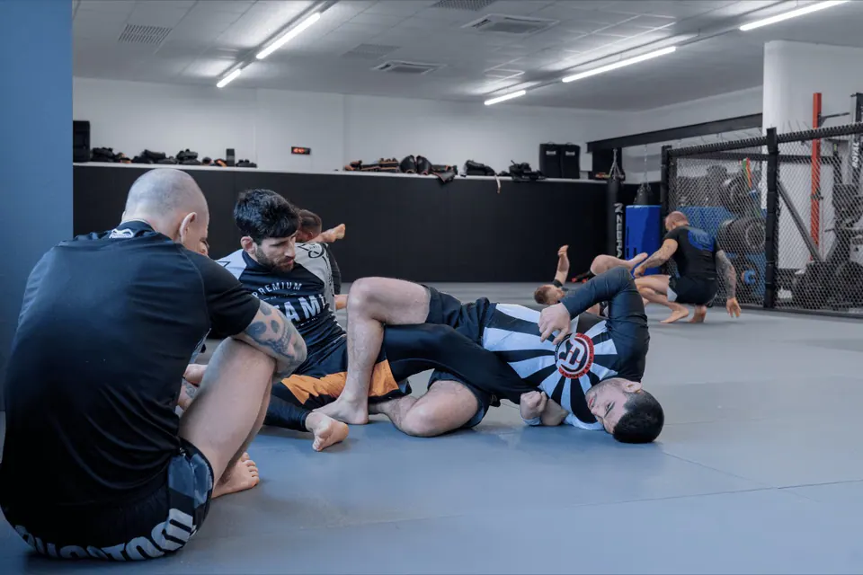 Joe Rogan & John Danaher: Die Evolution der Leglocks im BJJ