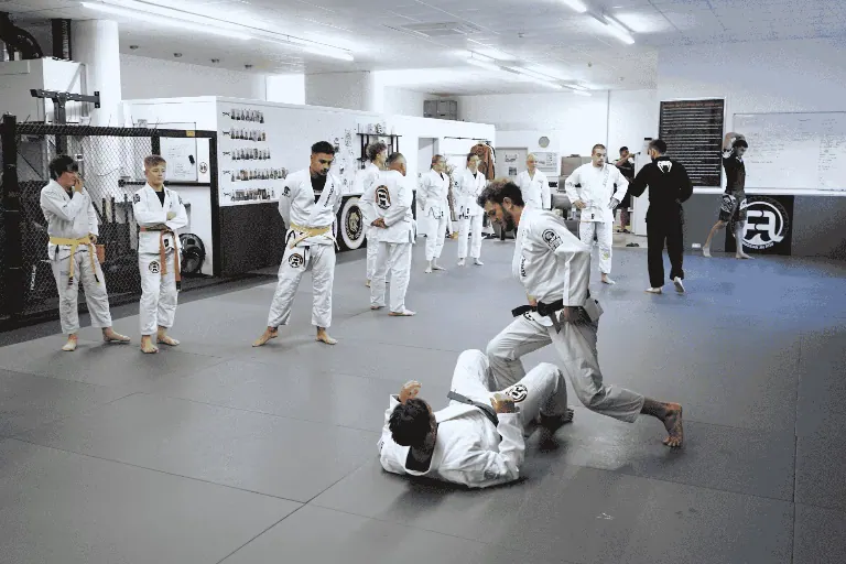The Art of Teaching BJJ